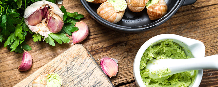 Premium WordPress Themes